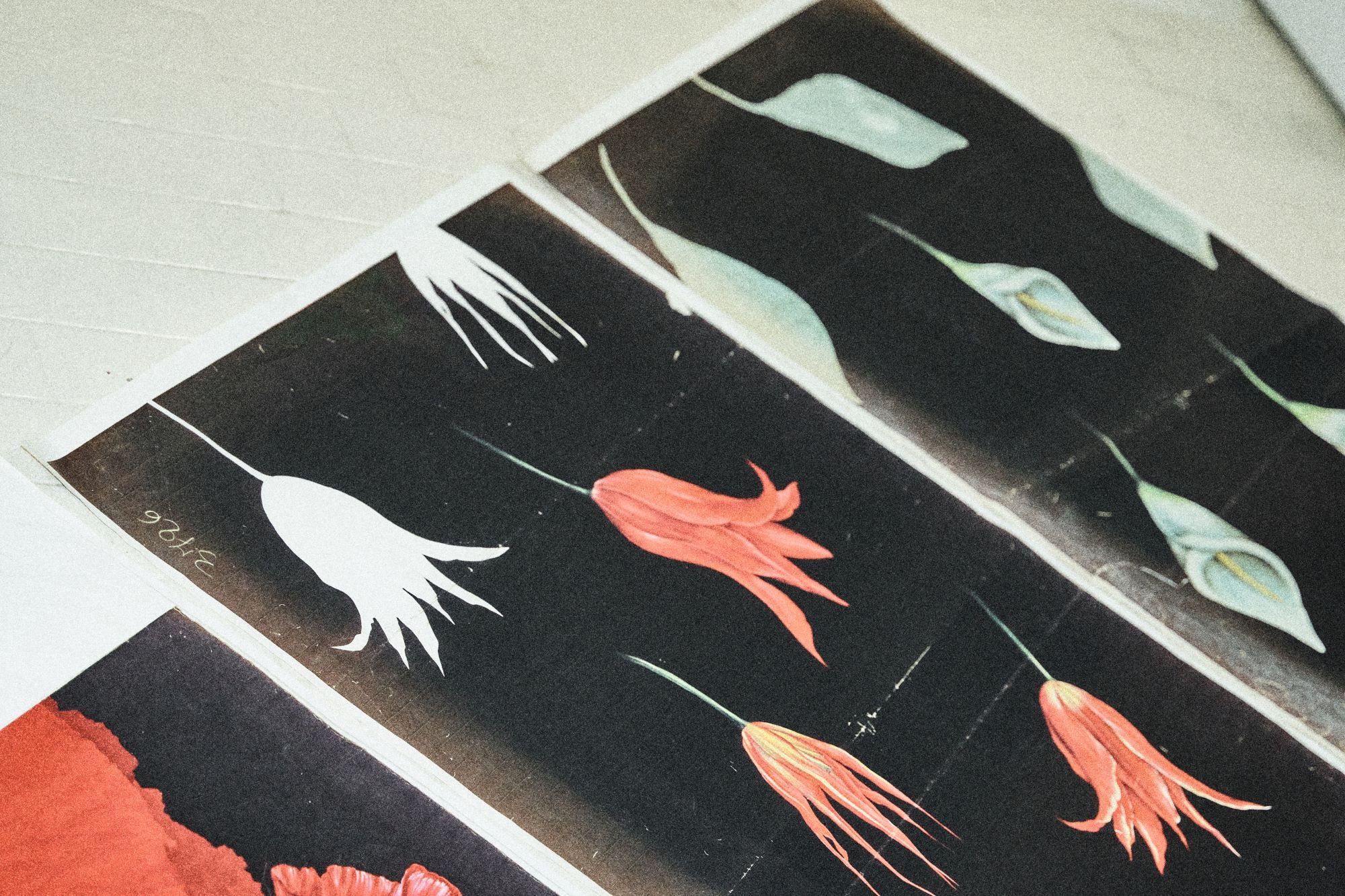 Article card header image